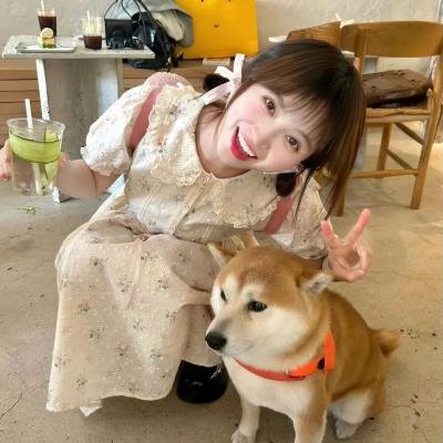 囧女翻身之嗨如花第二部